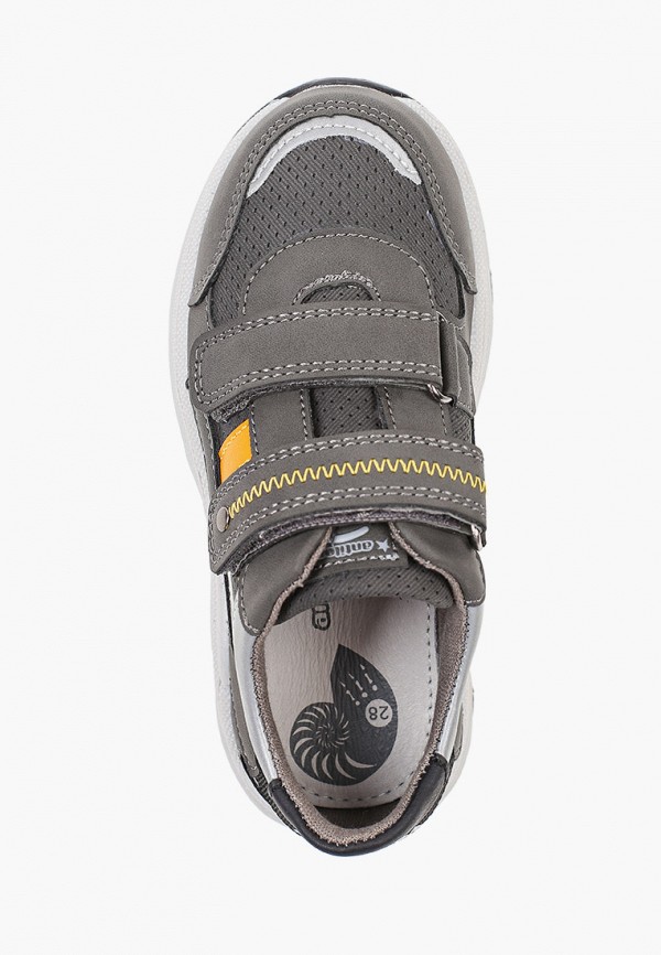 фото Кроссовки antilopa