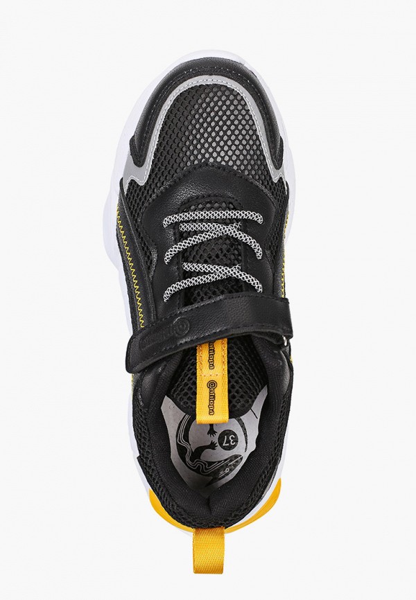 фото Кроссовки antilopa