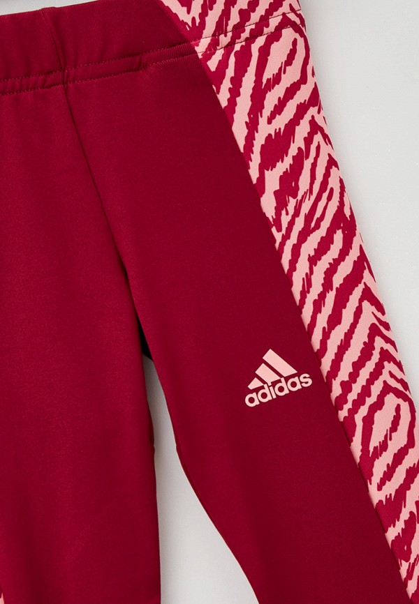 фото Тайтсы adidas