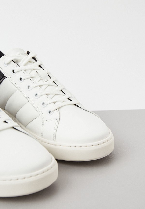 фото Кеды baldinini