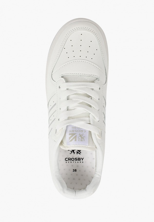 фото Кеды crosby