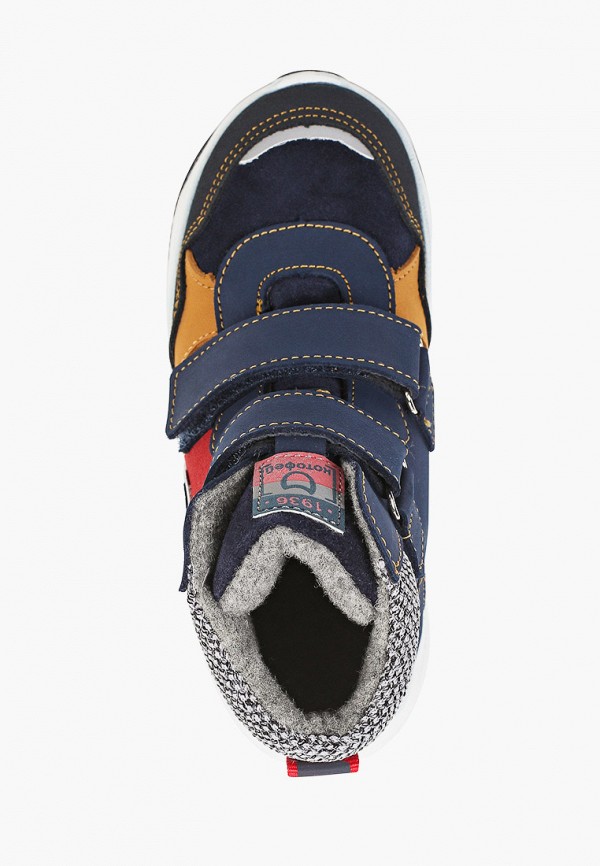 фото Ботинки котофей