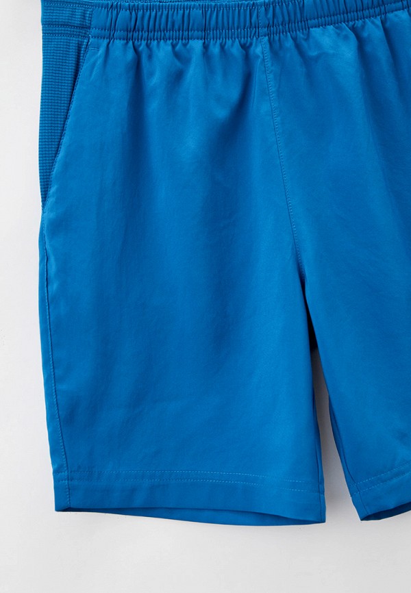 фото Шорты спортивные the north face