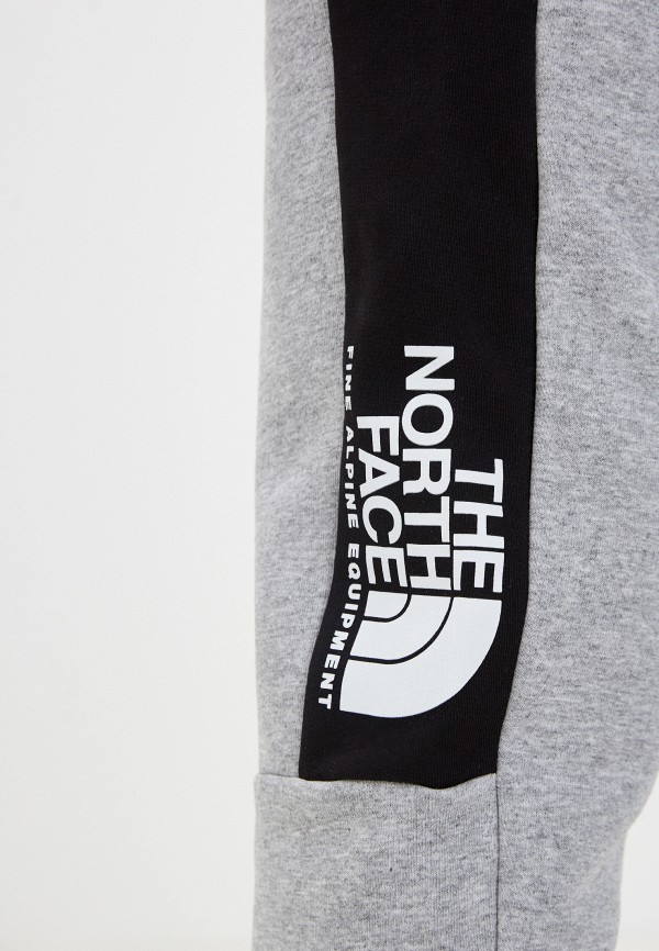 фото Брюки спортивные the north face