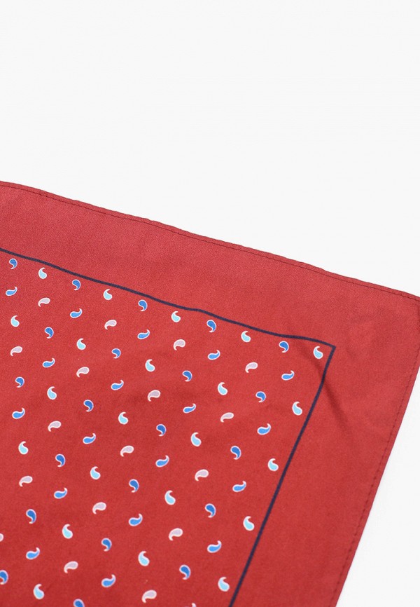 фото Платок нагрудный mango man