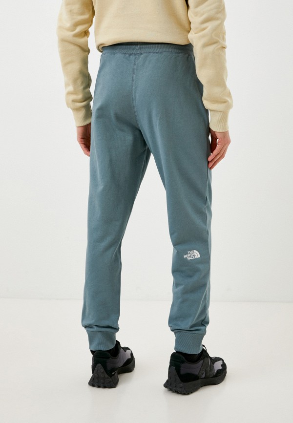 фото Брюки спортивные the north face