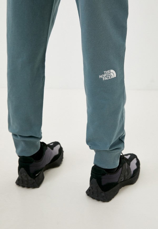 фото Брюки спортивные the north face