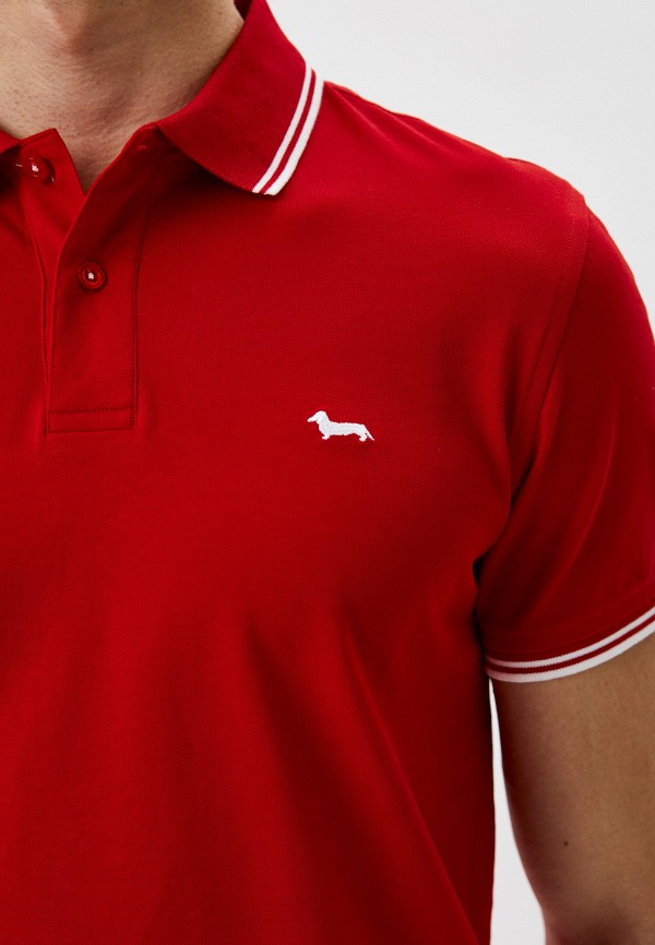 фото Поло harmont & blaine