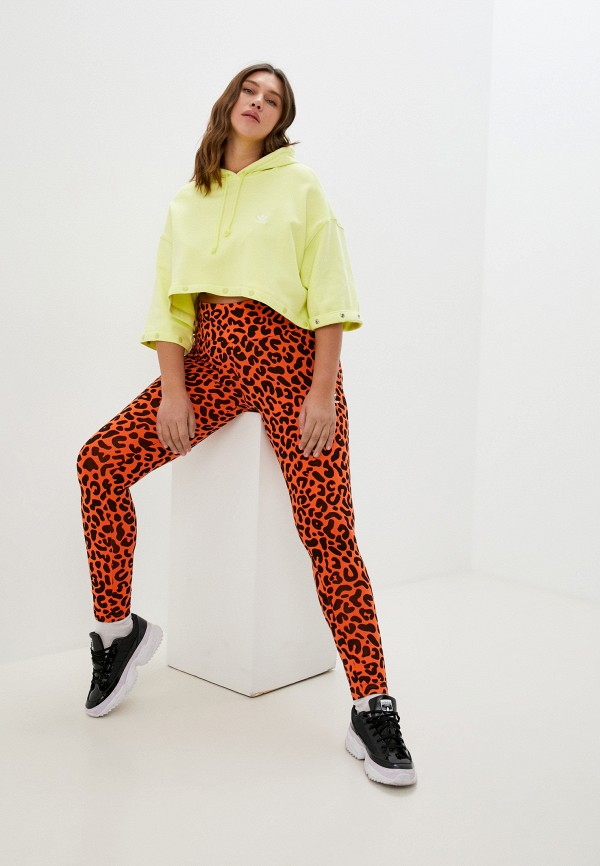 фото Леггинсы adidas originals