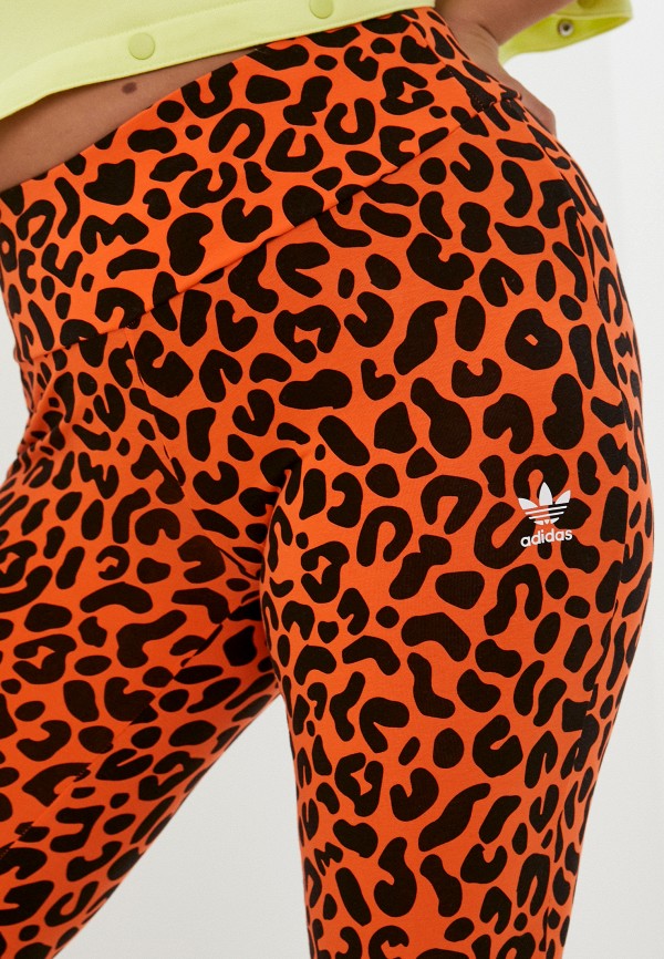 фото Леггинсы adidas originals