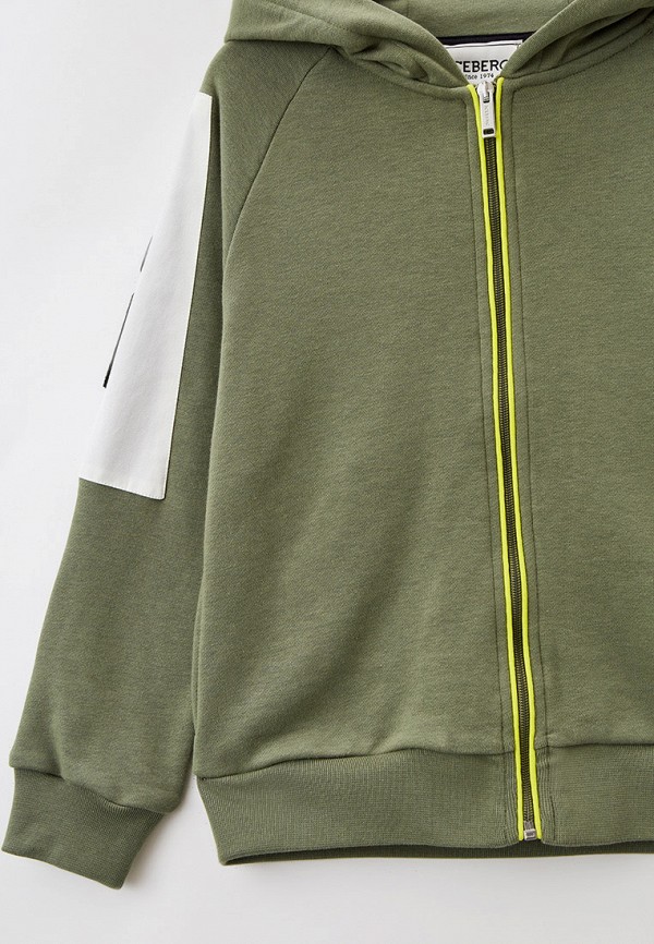 фото Толстовка iceberg