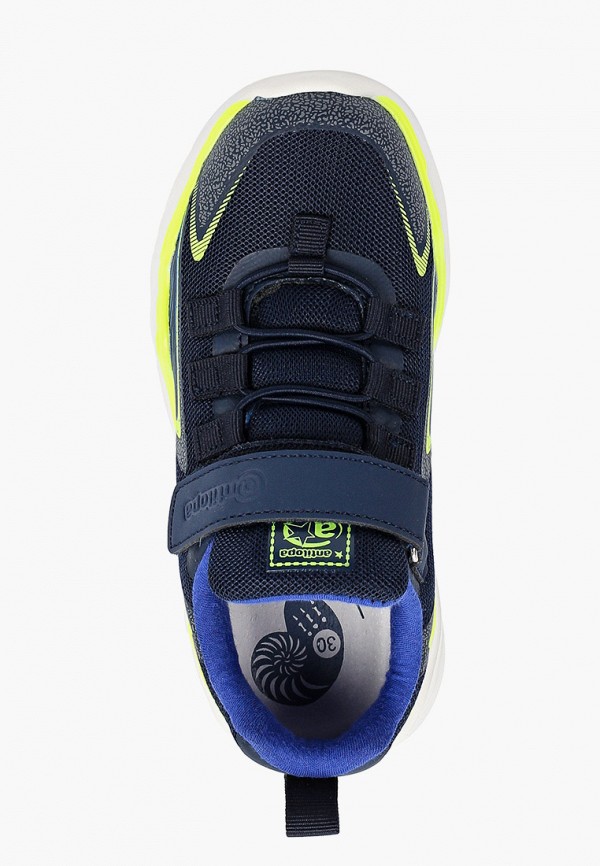 фото Кроссовки antilopa