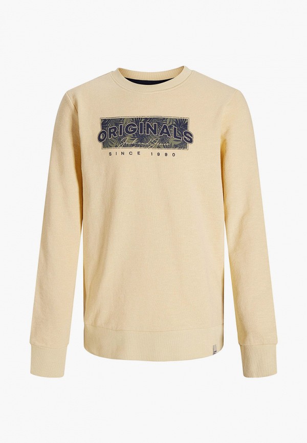 

Свитшот Jack & Jones, Бежевый, Jack & Jones RTLABG941901