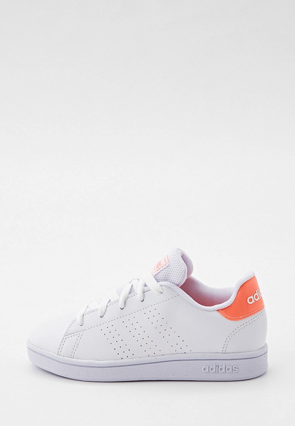 Basquette adidas femme 2018 hotsell