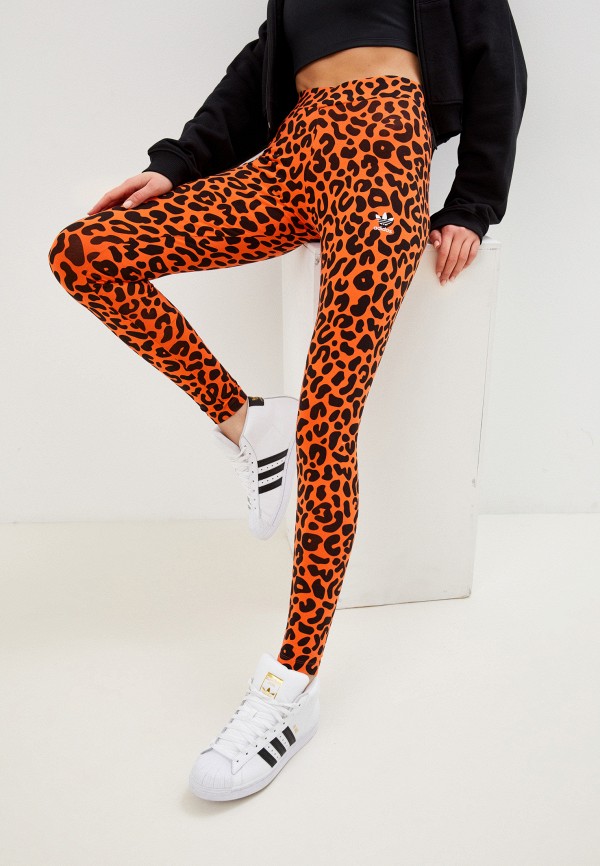 фото Леггинсы adidas originals