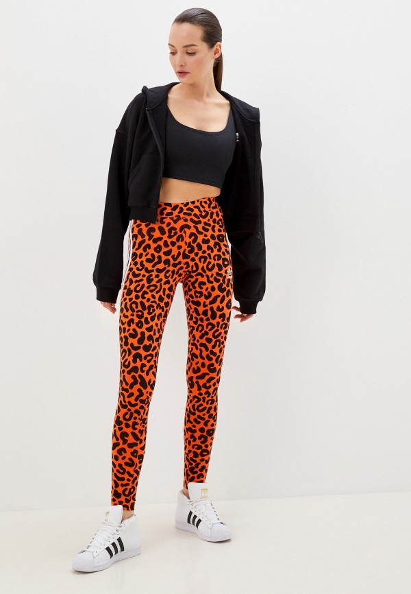фото Леггинсы adidas originals