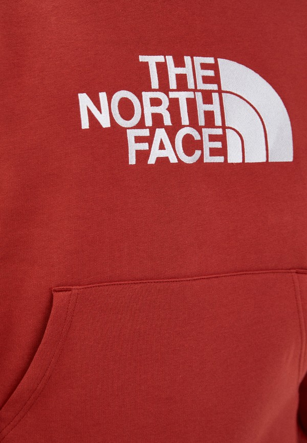 фото Худи the north face