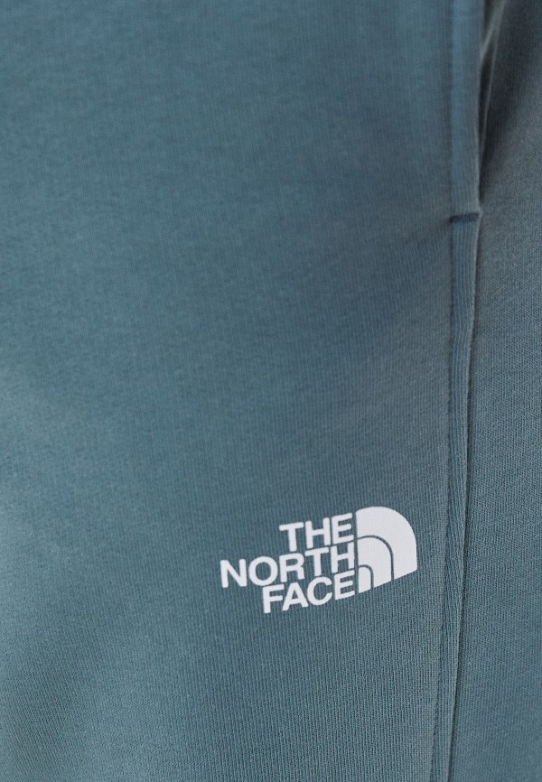 фото Брюки спортивные the north face