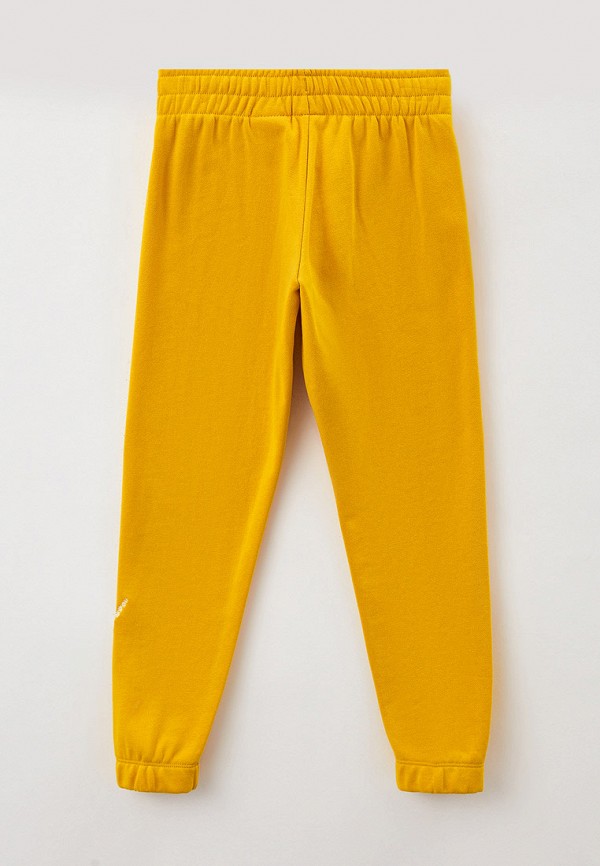 фото Брюки спортивные nike