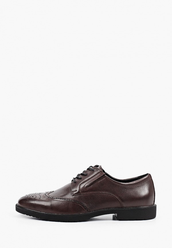 Туфли Vittorio Bravo коричневого цвета