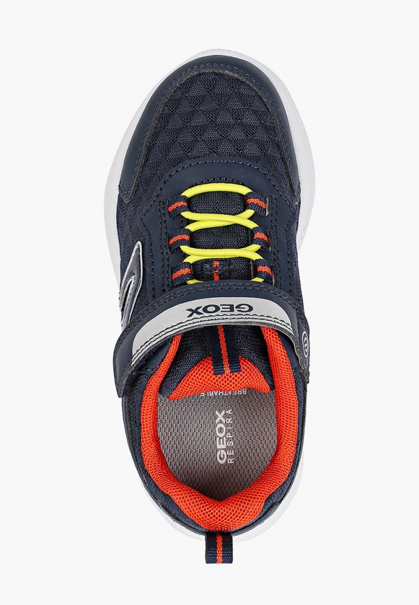 фото Кроссовки geox