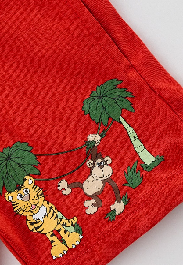 фото Шорты united colors of benetton