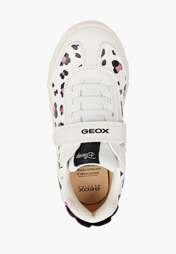 фото Кеды geox