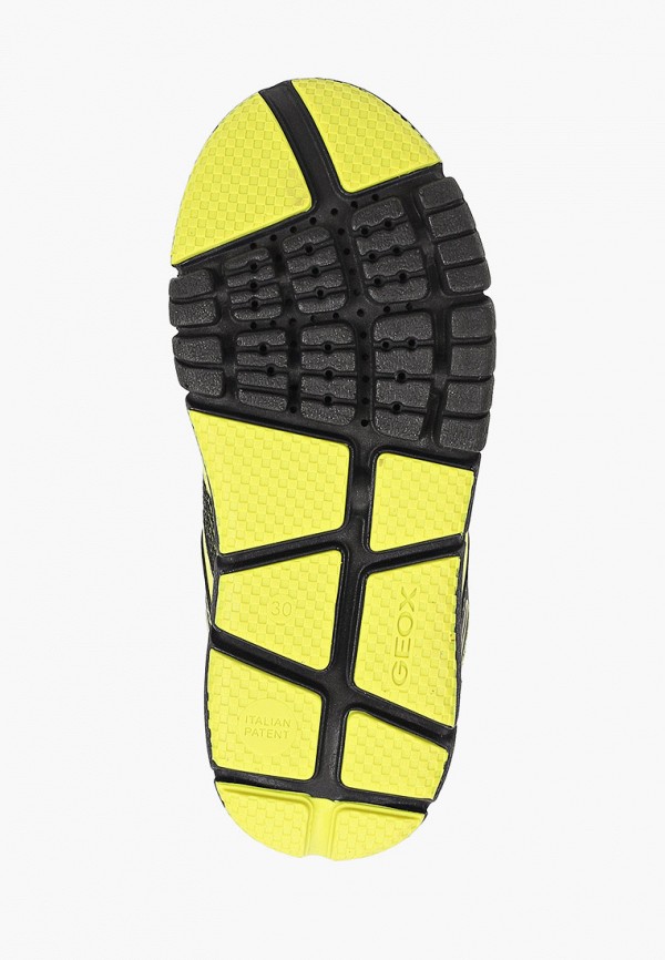 фото Кроссовки geox