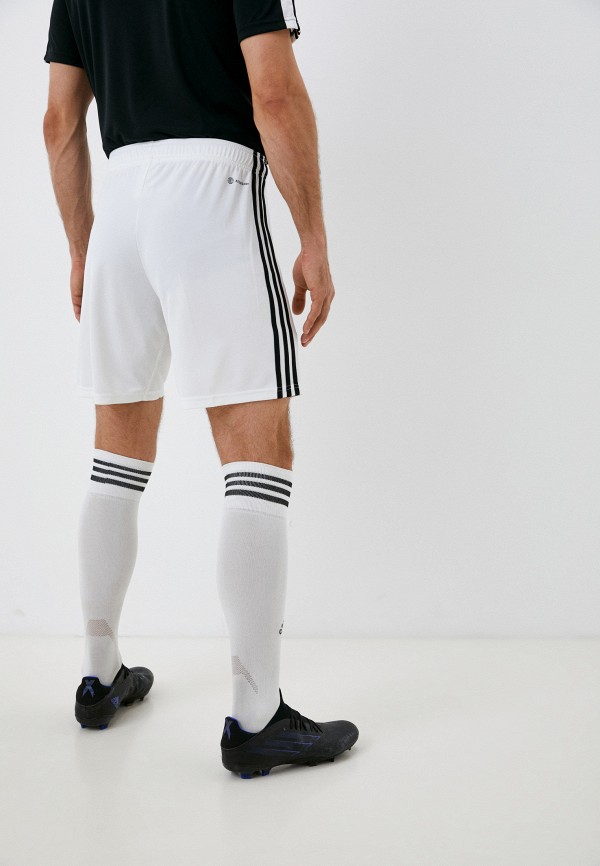 фото Шорты спортивные adidas