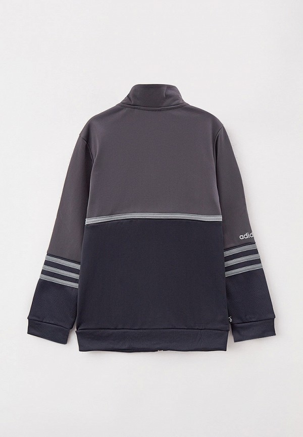 фото Олимпийка adidas originals
