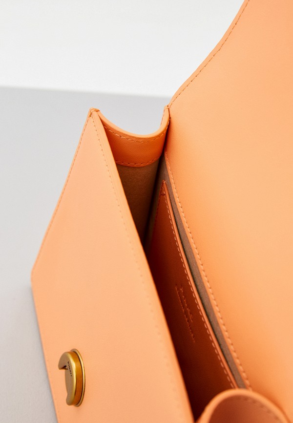 фото Сумка pinko