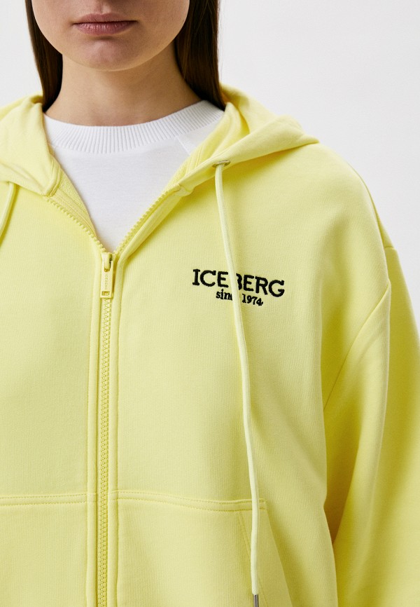 фото Толстовка iceberg