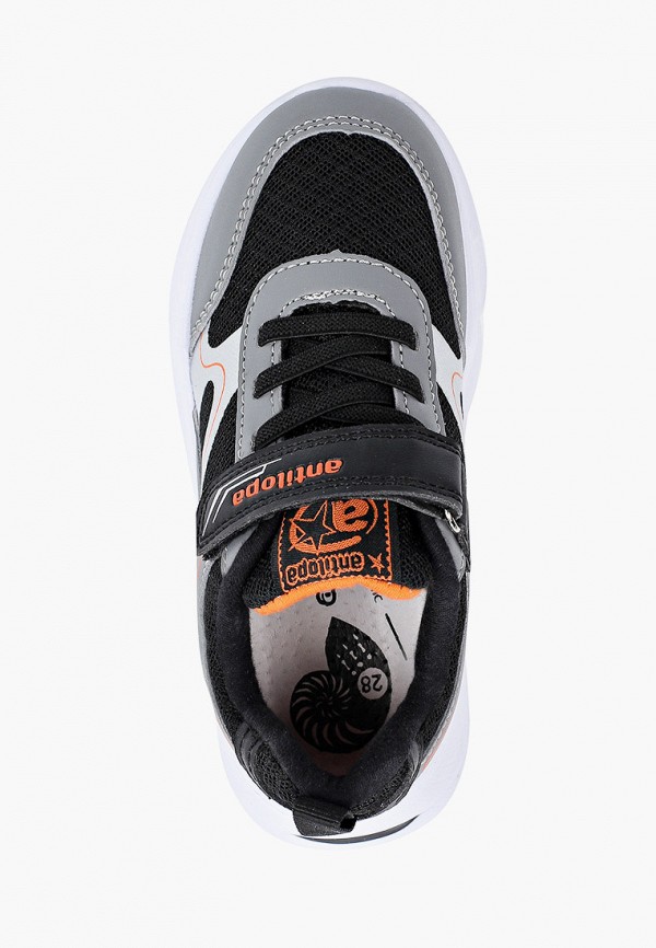 фото Кроссовки antilopa