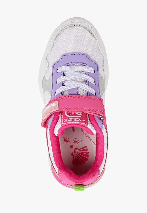 фото Кроссовки antilopa