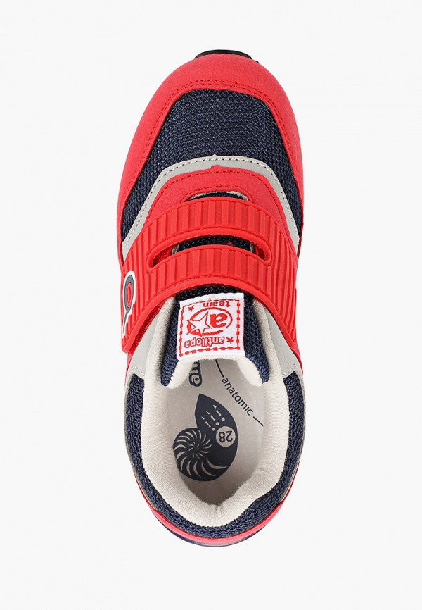 фото Кроссовки antilopa