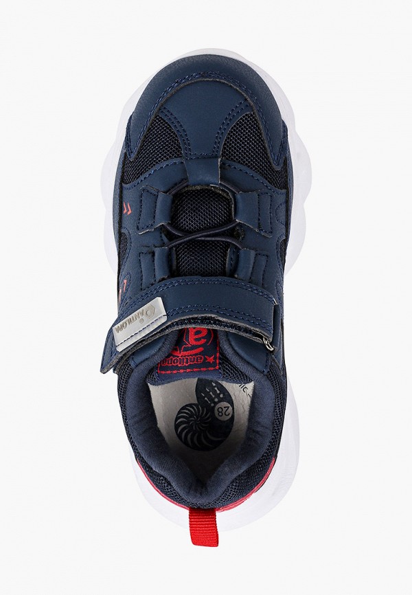 фото Кроссовки antilopa