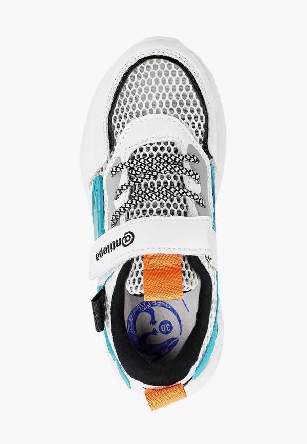 фото Кроссовки antilopa