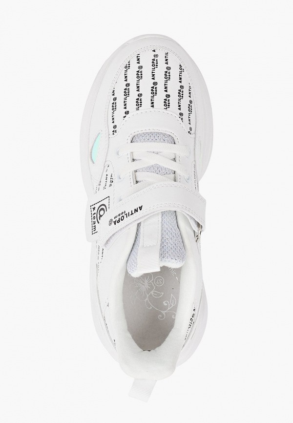 фото Кроссовки antilopa