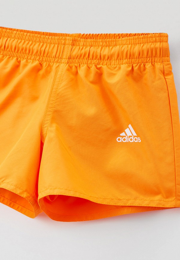 фото Шорты для плавания adidas