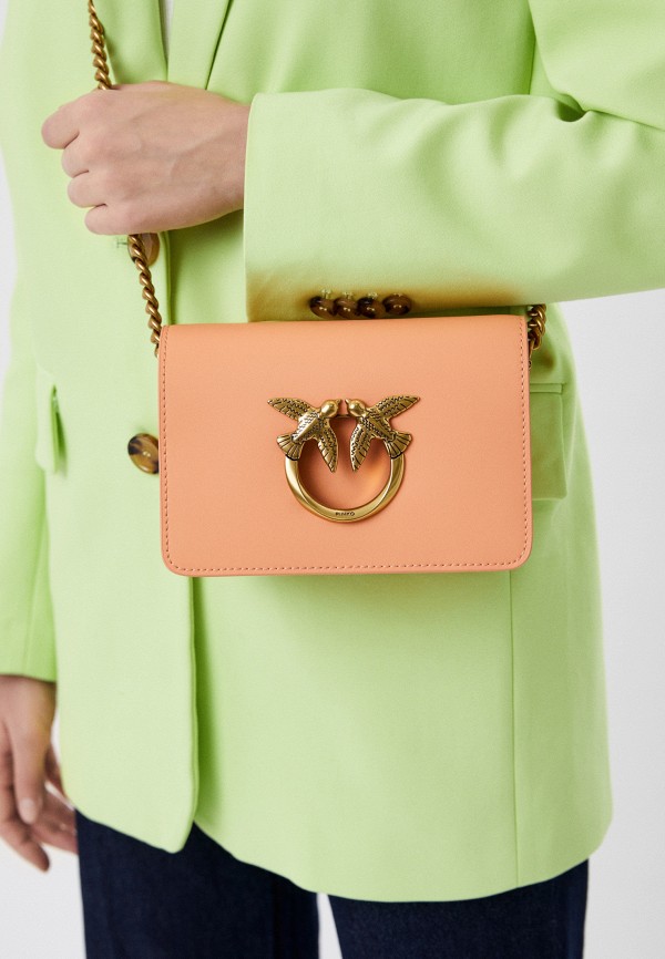 фото Сумка pinko