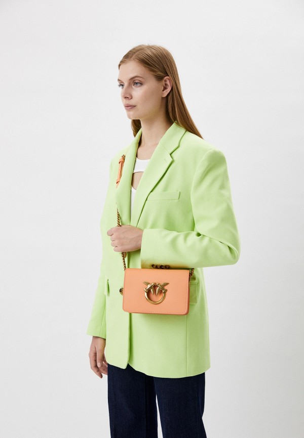 фото Сумка pinko