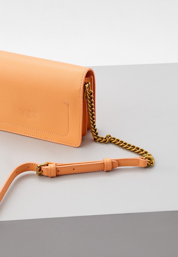 фото Сумка pinko