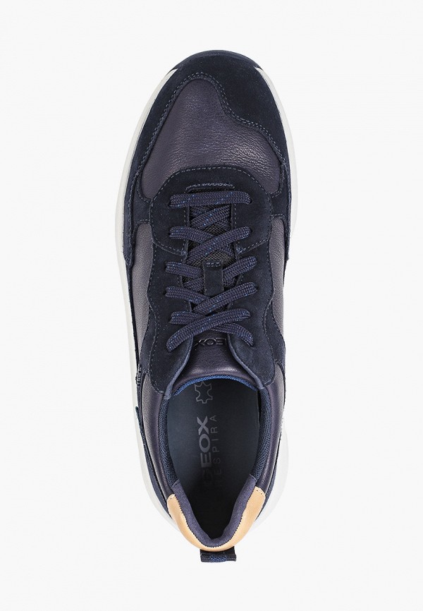 фото Кроссовки geox