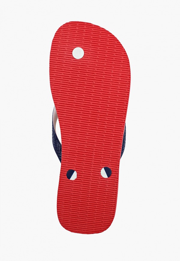 фото Сланцы havaianas
