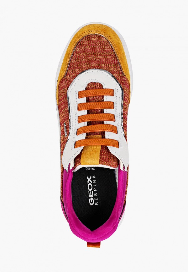 фото Кроссовки geox