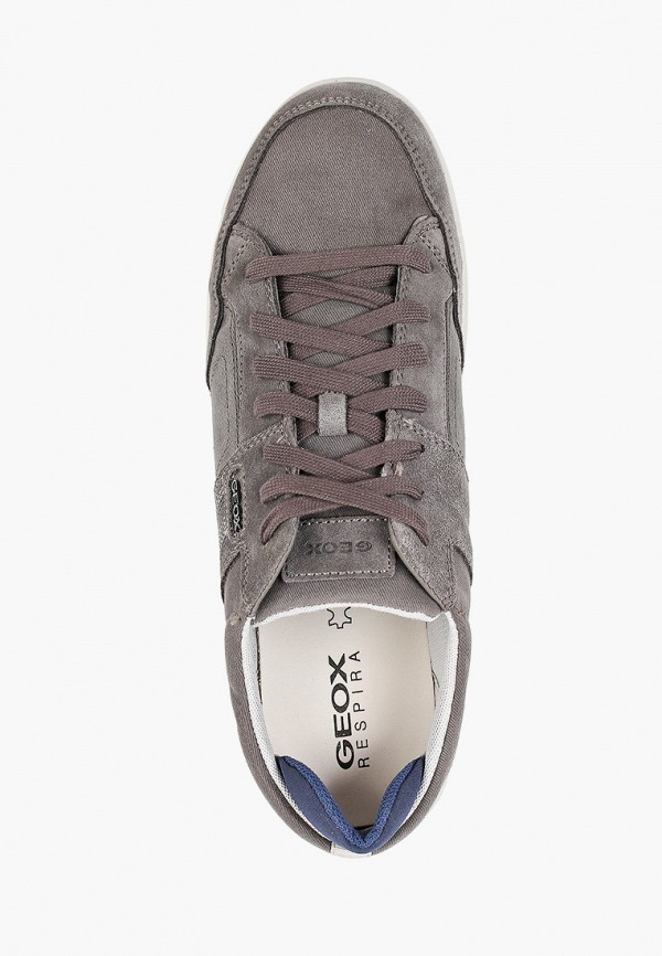 фото Кеды geox