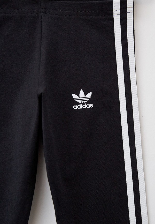 фото Леггинсы adidas originals