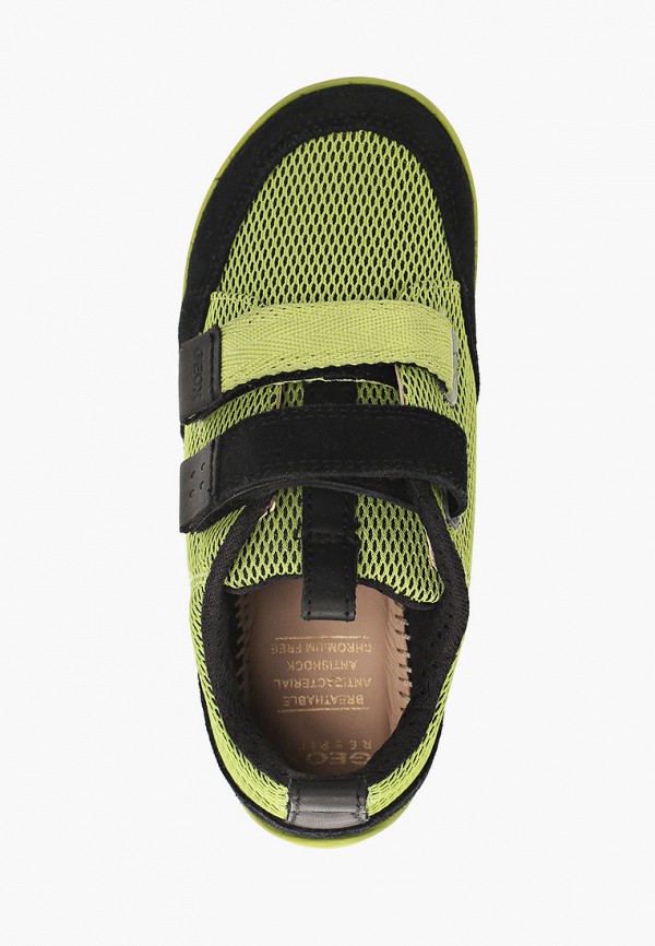 фото Кроссовки geox