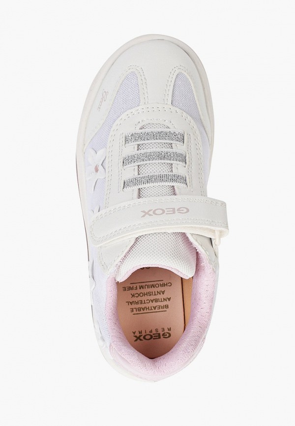 фото Кеды geox