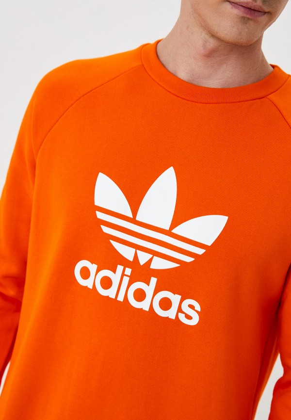 фото Свитшот adidas originals